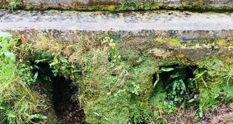 aubette, source à Théméricourt