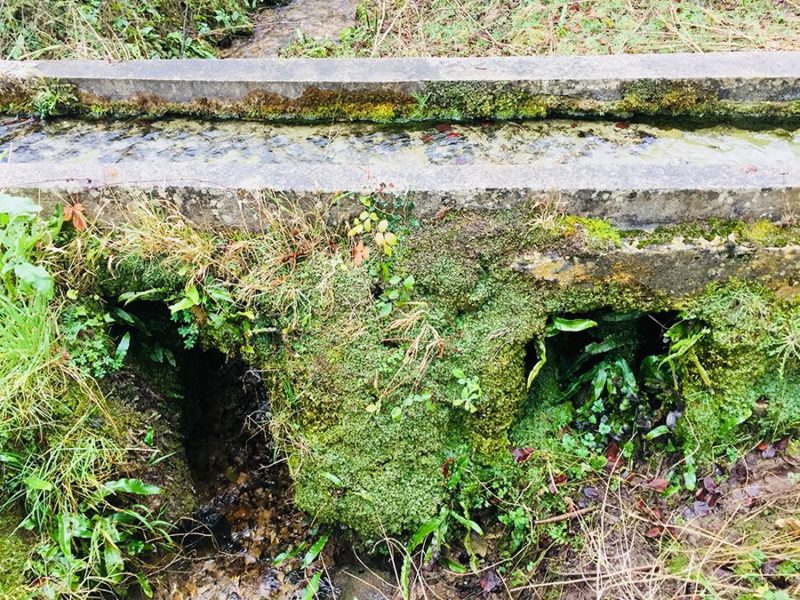 aubette, source à Théméricourt